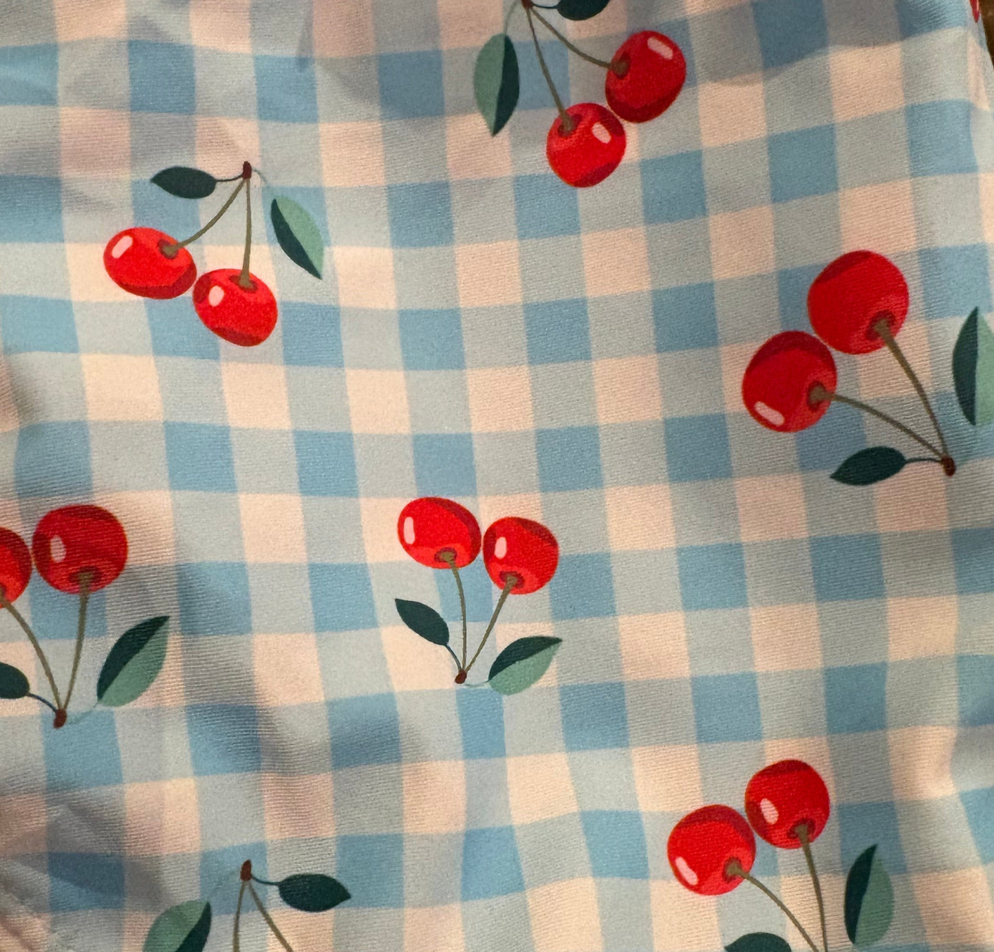 A close-up of a swimsuit with a light blue and white gingham check pattern with red cherries and green leaves printed all over it.