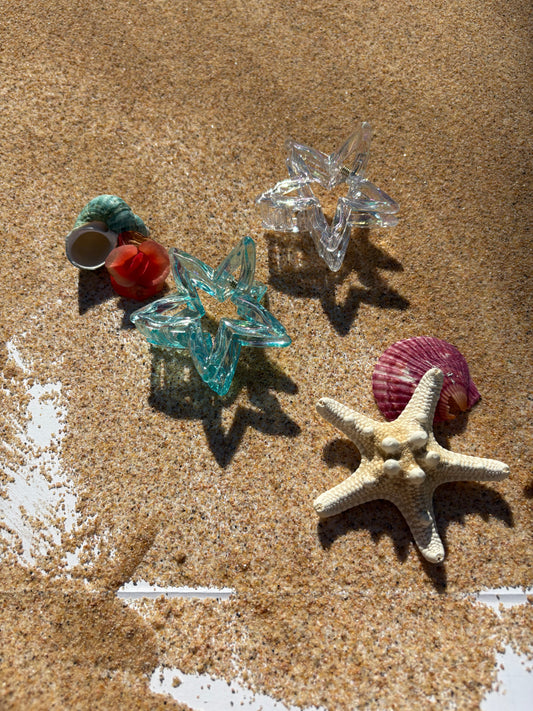 Starfish Dream Hair Clip